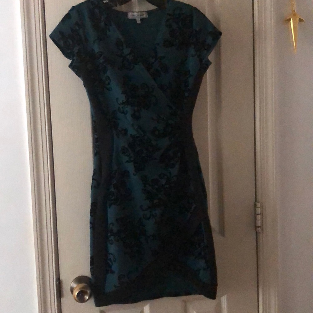 Dark green and black rose dress